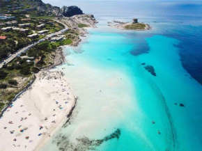 I Pescatori di Stelle-L15 SHEDIR